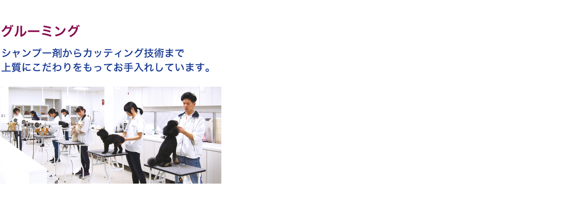 グルーミング｜シャンプー剤からカッティング技術まで上質にこだわりをもってお手入れしています。