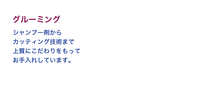 グルーミング｜シャンプー剤からカッティング技術まで上質にこだわりをもってお手入れしています。