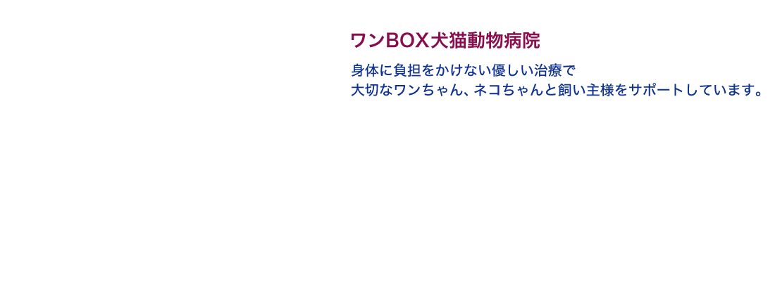 ワンBOX犬猫動物病院｜身体に負担をかけない優しい治療で大切なワンちゃん、ネコちゃんと飼い主様をサポートしています。