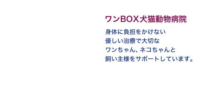 ワンBOX犬猫動物病院｜身体に負担をかけない優しい治療で大切なワンちゃん、ネコちゃんと飼い主様をサポートしています。